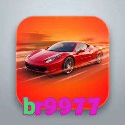 br9977