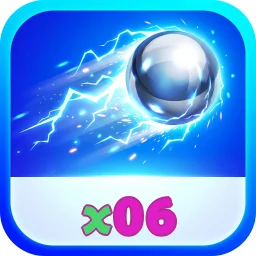 x06